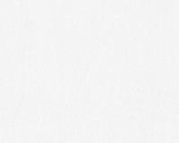 купить A.S.Creation Maistervlies 2020 95091-8