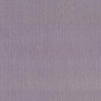 купить P+S International Sinfonia 2015 42085-20