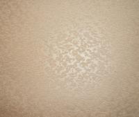 купить BN International Champagne 50102