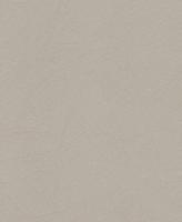 купить Rasch Shiny Chic 403657