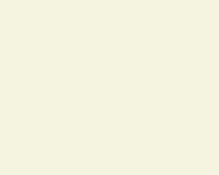 купить A.S.Creation Contzen 2 674067