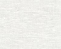 купить A.S.Creation Maistervlies 2020 35501-0