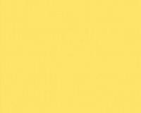 купить A.S.Creation Esprit 6 222435