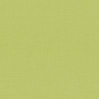 купить P+S International Novara 2 13461-40