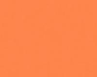 купить A.S.Creation X-Ray 34248-5