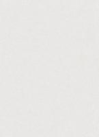 купить Erismann City Glam 5958-10