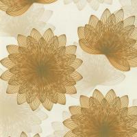 купить P+S International Exclusive 13279-52