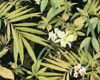 купить A.S.Creation Vacation 34379-3