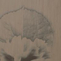 купить Marburg Ulf Moritz Charisma 78774