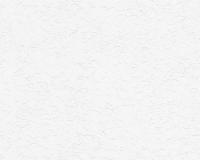 купить A.S.Creation Maistervlies 2020 95371-1