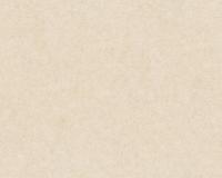 купить A.S.Creation Versace Wallpaper 2 96218-5