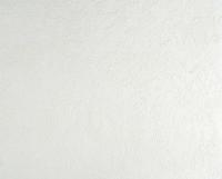 купить A.S.Creation Meistervlies Pro 2 167514