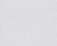 купить A.S.Creation Elegance 5 30487-2