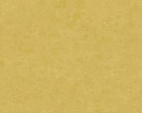 купить A.S.Creation Palila 36313-3