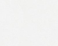 купить A.S.Creation Meistervlies Protect 2 248916