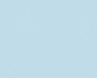 купить A.S.Creation Esprit 5 141873