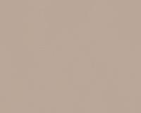 купить A.S.Creation Meistervlies 5 3091-67