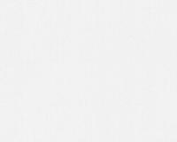 купить A.S.Creation Maistervlies 2020 30661-6