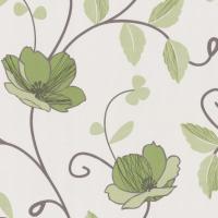 купить P+S International Tresor 42041-50