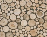 купить A.S.Creation Dekora Natur 6 95836-1