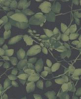 купить Khroma Silence sil-502