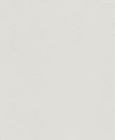 купить Rasch Shiny Chic 403633