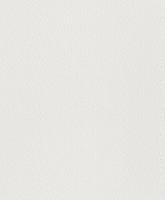 купить Rasch Wallton 2021 124415 (124422)