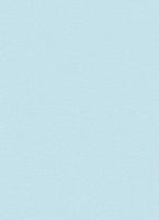 купить Erismann Prime Time 7352-43