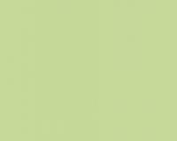 купить A.S.Creation Esprit 2 550729