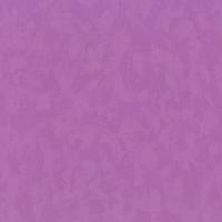 купить P+S International Jackpot 02316-30