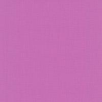 купить P+S International Novara 2 13461-30