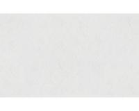 купить A.S.Creation Maistervlies 2020 96771-8