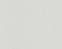 купить A.S.Creation Maistervlies 2020 57031-4