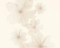 купить A.S.Creation X-Ray 34272-1