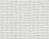 купить A.S.Creation Maistervlies 2020 16741-5