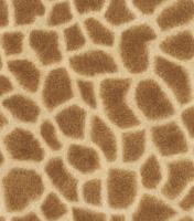 купить Rasch African Queen 2014 422801