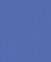 купить Rasch Chorus Line 2014 469325