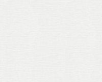 купить A.S.Creation Maistervlies 2020 25051-3