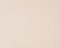 купить A.S.Creation White & Colours 282910