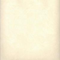 купить Sandudd Nonwoven Nikkari 4827-2