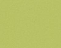 купить A.S.Creation Squared 871190