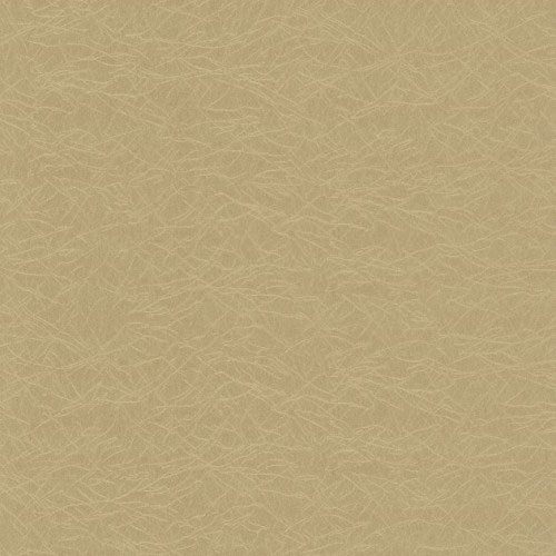 купить P+S International Tresor 42040-50