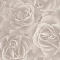 купить Rasch Crispy Paper 525601