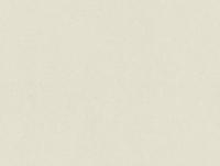 купить A.S.Creation Vernissage 909619