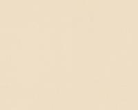 купить A.S.Creation Sunrise 924131