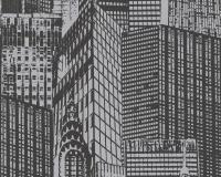 купить A.S.Creation Manhattan 252821