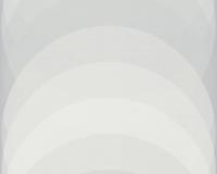 купить A.S.Creation Esprit 14 36675-1