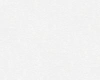 купить A.S.Creation Meistervlies 4 2487-18 / 2488-17