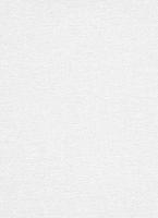 купить Erismann Robusto Vol.2 3916-01