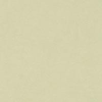 купить Rasch Fiducia 424256